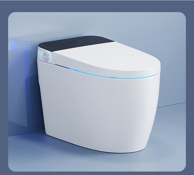 WCs - Unique Design & Smart Toilets - Image 12